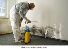 Best Forensic Mold Investigation  in Lufkin, TX